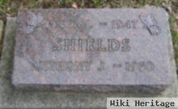 Anthony J. Shields