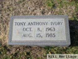 Tony Anthony Ivory