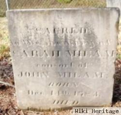 Sarah Ann Fuller Milam