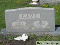 David P. Cave