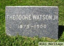 Theodore Watson, Jr