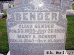 Mary Ann Pearson Bender