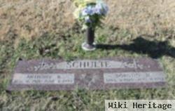 Dorothy M Schmitt Schulte