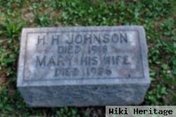 Hans Hanson Johnson