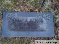 Ollie Jane Davis Briggs