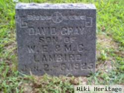 David Gray Lambird