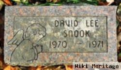 David Lee Snook