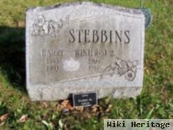 Harry Laduke Stebbins