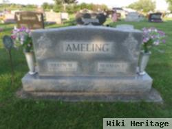 Helen M Ameling