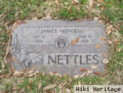 James Mendell Nettles
