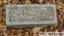 Mary Eliza Hinkley Buck