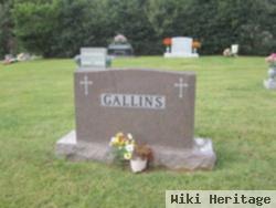 Harry D. Gallins