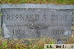 Bernard A Dube