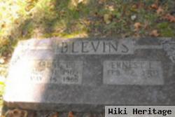 Irene E Blevins