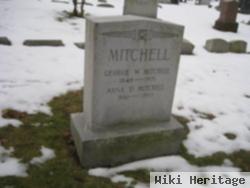 George W Mitchell