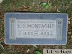 Ellery Channing Montague