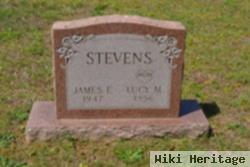 James E. Stevens