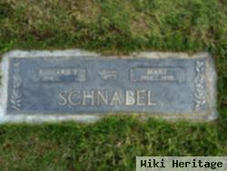 Richard F Schnabel