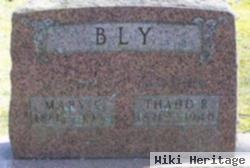 Mary Ellis "lizzie" Terhune Bly