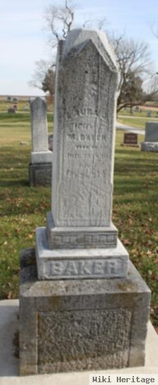 Laura J. Baker