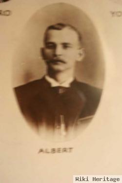 Albert Mitchell Sidney Stark