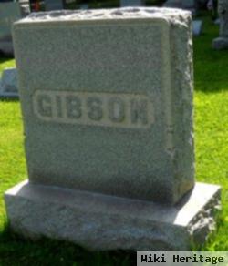 Robert H Gibson