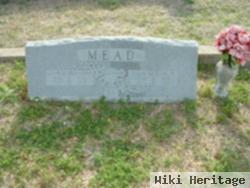 Sally Elizabeth Mead