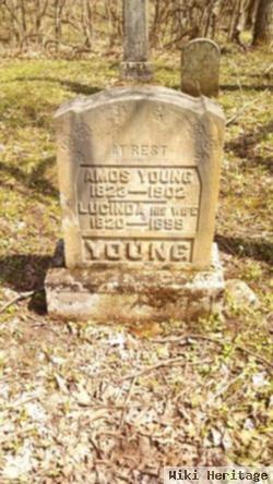 Amos Young