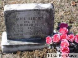 Alice Bernice Plemons