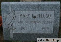 Mary E. Peluso