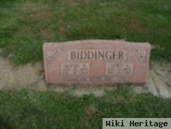 Nettie B. Banta Biddinger