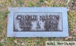 Charlie Nelson