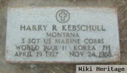 Harry Raymond Kebschull