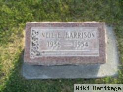 Neil E Harrison