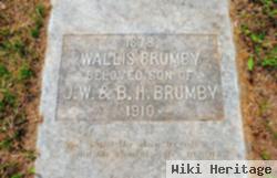 Wallis Brumby