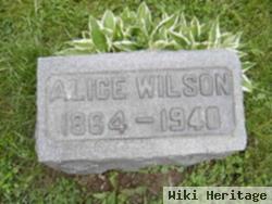 Alice Coon Wilson