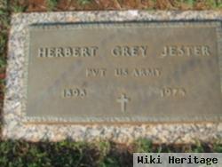 Herbert Grey Jester