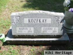 Marvin J Kozfkay