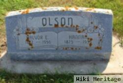 Halvor E Olson