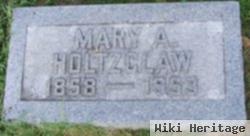 Mary Ameryllis Stewart Holtzclaw