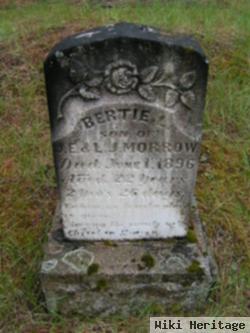 Bertie L. Morrow