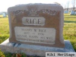 Harry Wilson Rice