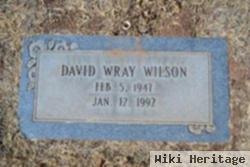 David Wray Wilson