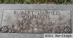 Robert Harold Goforth