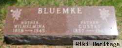 Gustav Bluemke