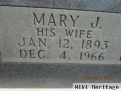 Mary Martha Jones Perkins