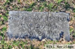 Hester Ann Penton