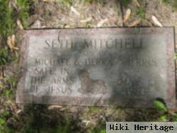 Seth Mitchell Wilkins