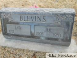 Joe Blevins