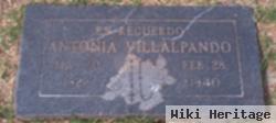 Antonia Villapando